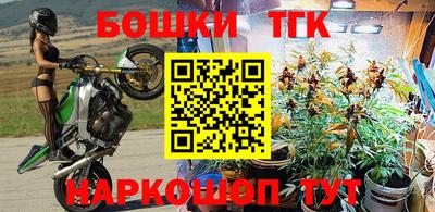 стаф Кинель