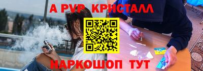стаф Кинель